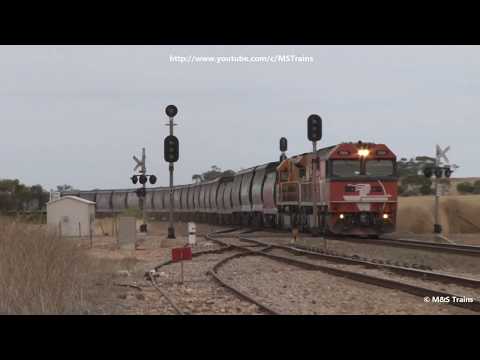 Spot the Kangaroo! Mid North SA Freight Movements