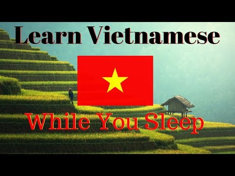 Learn Vietnamese While You Sleep 😀 130 Basic Vietnamese Words and Phrases 👍 English/Vietnamese