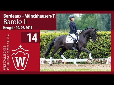 14 Barolo II  Hengst v. Bordeaux - Münchhausen