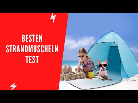 ✅ Die Besten Strandmuscheln Test - (Top 5)