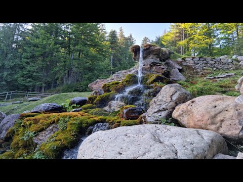 Izvorul Minunilor (Stana de Vale)