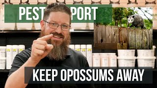 How Do You Keep Opossums Away? | Pest Support