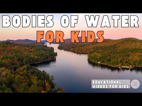 Bodies of Water for Kids | Educational Videos for Kids | Wiz World Wonders