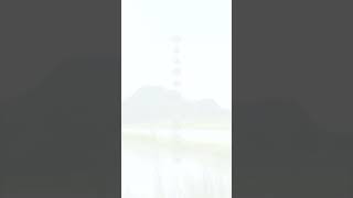 【新人Vtuberお披露目！】第二章「小さな小さな白噛村」 #新人vtuber