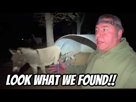 ￼ I Was Not Prepared For This!!! 