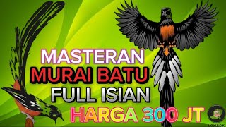 Download lagu MASTERAN MURAI BATU JUARA 1 NASIONAL | MURAI BATU FULL ISIAN TEMBAKAN MEWAH mp3 Download lagu MASTERAN MURAI BATU JUARA 1 NASIONAL | MURAI BATU FULL ISIAN TEMBAKAN MEWAH mp3