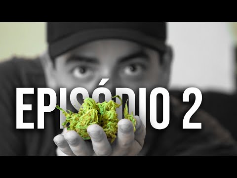 MAC0NHA.doc - CULTIVAR É UM TRAMPO ZIKA!