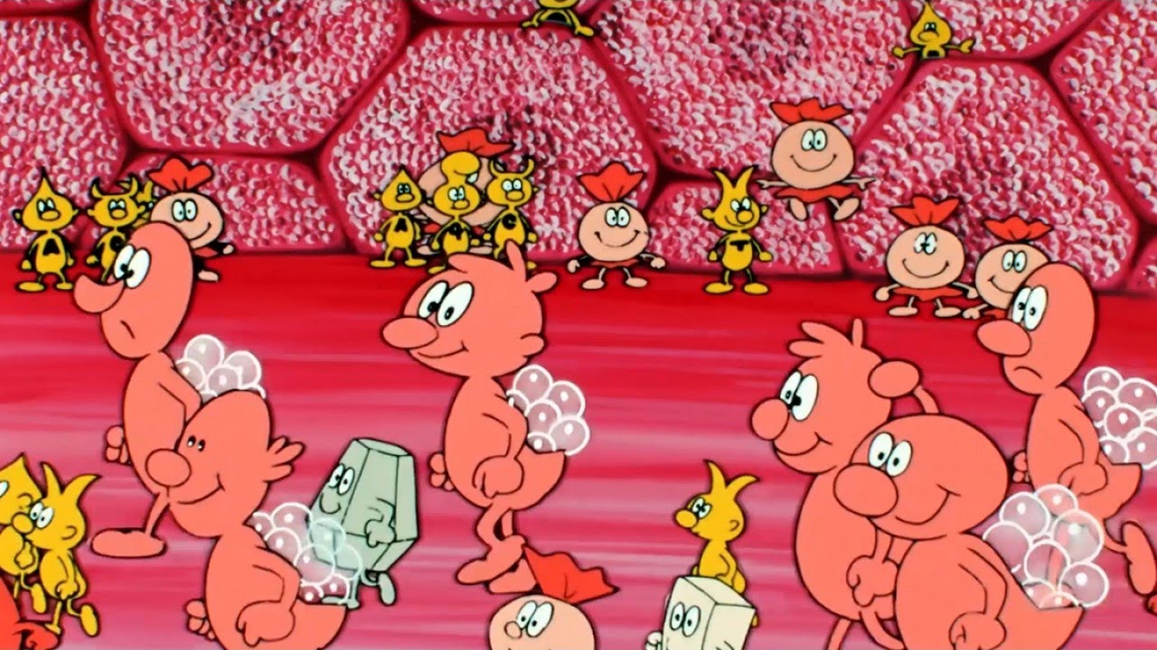 Erase Una Vez... La Vida (El Cuerpo Humano) - 16 El hígado