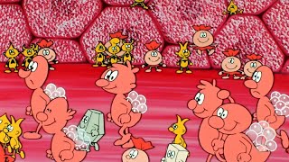 Erase Una Vez... La Vida (El Cuerpo Humano) - 16 El hígado