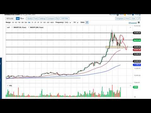Best Forex Indicators For Beginners; Experienced Traders 2021, the forex earn. Bitcoin Forecast — February 1st 2021