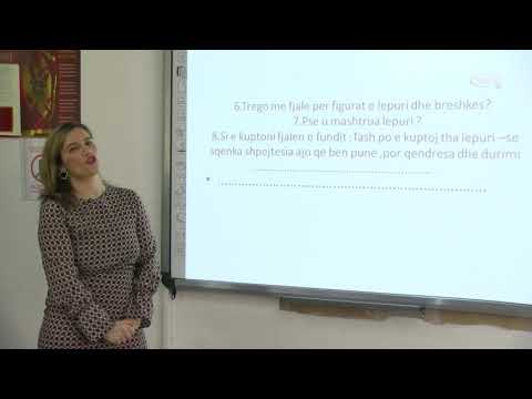 Amanda Zejnelaga klasa e trete mesimi 2