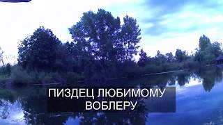 Воблер liberty dandy 150f