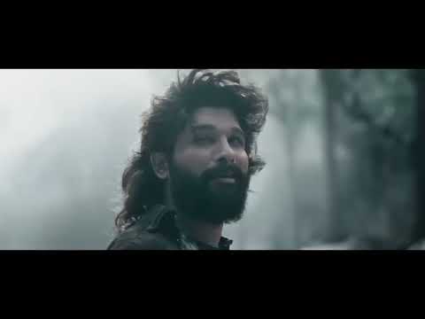 DARIUS CHINOY THUMSUP