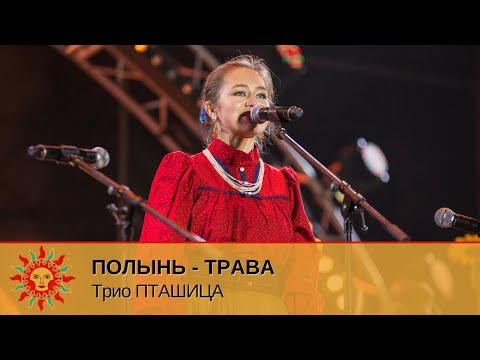 V Международный фестиваль народной песни «Добровидение» | Полынь-трава - Трио ПТАШИЦА
