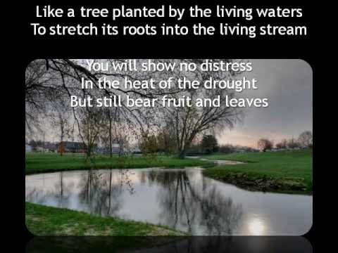 I Am the Vine by John Michael Talbot