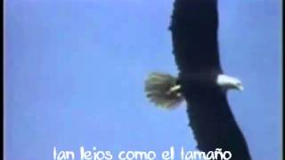 Vuela aguila - Tercer cielo