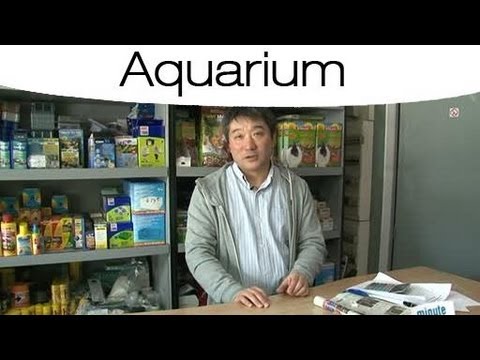comment regler la temperature d'un aquarium