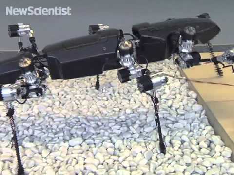 Giant Robotic Insect