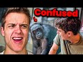 Man Learns To Speak To Bonobos And They LOSE It