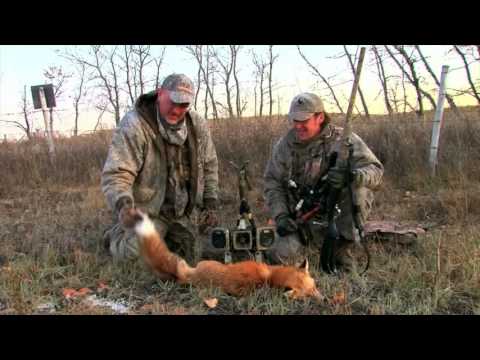 Primos Boss Dogg Predator Call