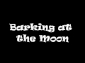 Barking at the Moon - by Jenny Lewis (Guitar ...