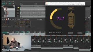 Video thumbnail for HoRNet Valvola overview by HoRNet Plugins
