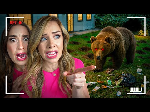 A VICIOUS BEAR DESTROYED MY BACKYARD...