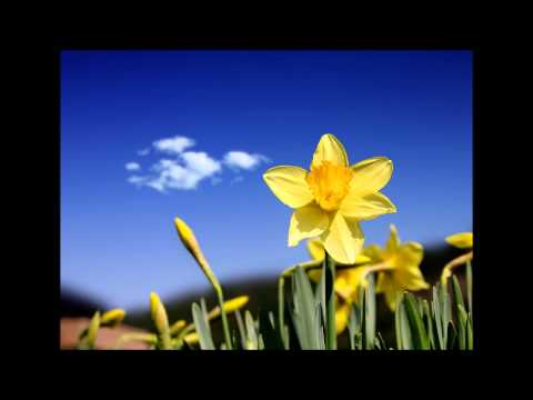 Jose Amnesia - No Regrets (Jo Micali's Uplifting Mix - khaotic's Edit)