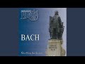Bach-Vivaldi Concerto in D Major: II. Larghetto