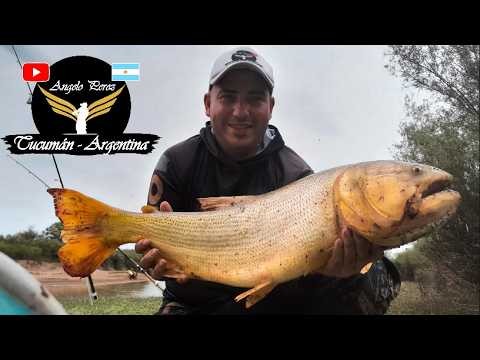 Pesca en Telares - Santiago del Estero