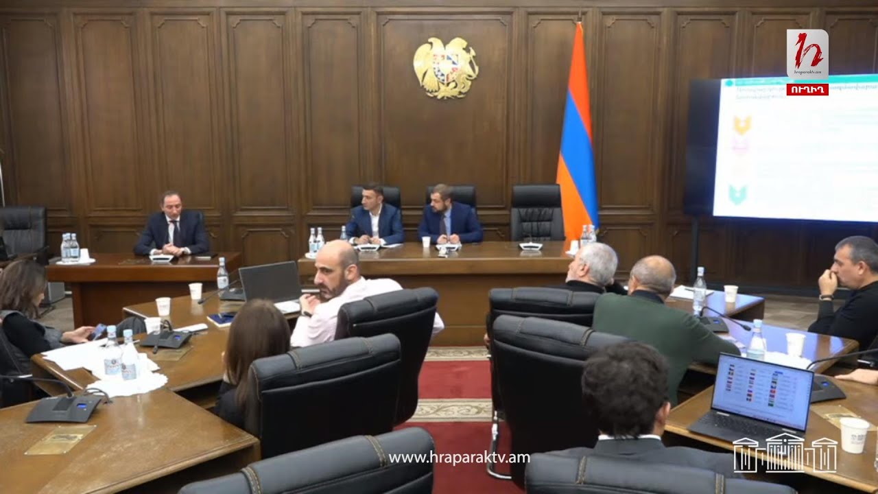#Ուղիղ․ Ֆինանսավարկային եւ բյուջետային ու Տնտեսական հարցերի մշտական հանձնաժողովների համատեղ նիստ