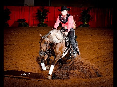 SOLD - Mobstop shown by Amy Stoney   2019 Tulsa Reining Classic NP Futurity