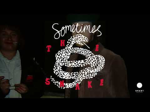 The Snake: Sometimes (Official Visualiser)