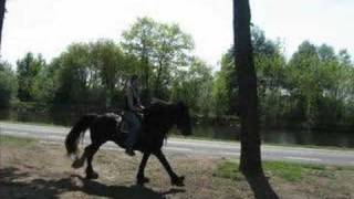 Nicky and Amy - Maybe Tonight