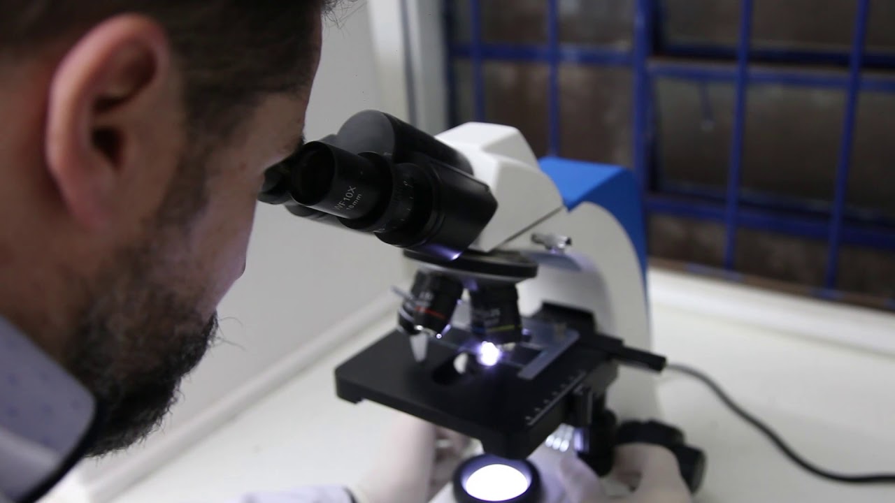 SEG - Saiba tudo sobre o Curso Técnico em Análises ClÍnicas