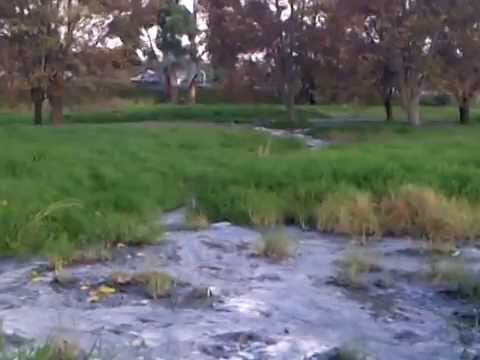 Big pool of pooh at Klipfontein dam
