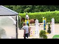 Jument de sport 5 ans par Cicero Z x Corland