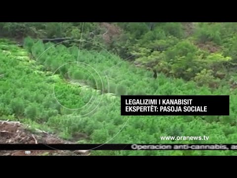 Edicioni informativ i orës 12:00 - 13 Maj 2020