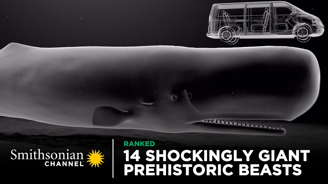 14 Shockingly Giant Prehistoric Beasts 🐋 Smithsonian Channel