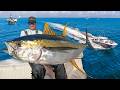 Louisiana S Largest Tuna 48 Hr Monster Mission Catch Clean Cook