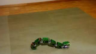 YaMoR modular robots in snake configuration, optimised central pattern generator parameters.