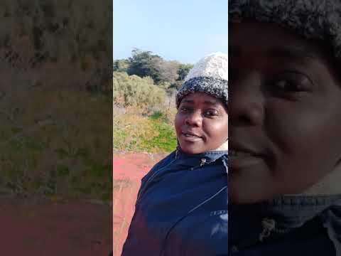 Abandoned house and farm in Rota, Spain.
