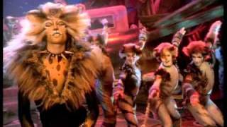 The Rum Tum Tugger - starring John Partridge. HD, from Cats the Musical - the film.