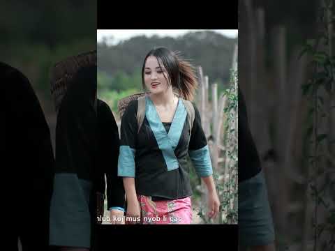 Vim Tshuav Ib Teev Ntshav 2