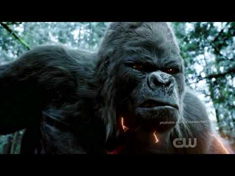 Gorilla grodd and the flash vs solivar [ grodd gets superspeed] the flash 6x13