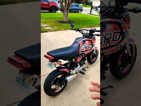Is the Honda Grom still popular?