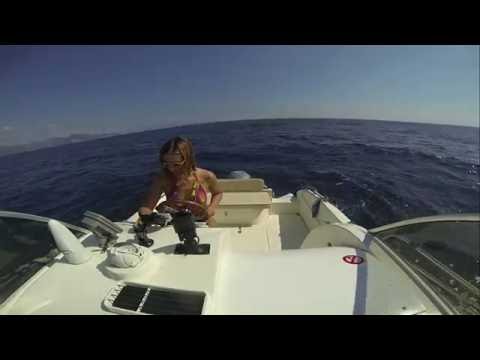 NaviFlow video thumbnail