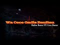 COVER GADIS BAU BAU HAFAN RMXXR FT CECE REMIX STYLE ️ ️