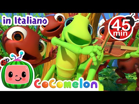 La formica e il grillo | CoComelon Italiano - Canzoni per Bambini