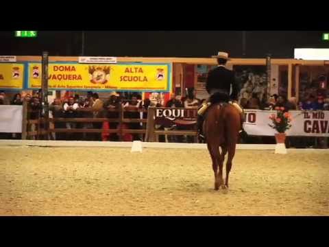 Doma Vaquera   Rossella Cerina   Gitano    Trofeo città di Milano